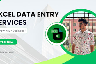 do excel data entry, and website data entry tasks
