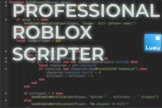 be your professional roblox scripter