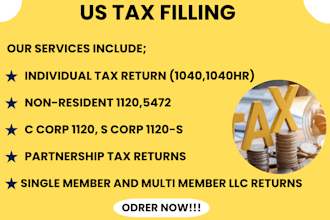file US tax returns for individuals, corporations, and llcs professionally