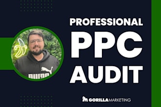 do a comprehensive PPC audit of your website in video format