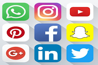 develop python bot for any social media platform