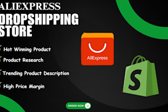 do shopify hot winning product aliexpress dropshipping product winning product