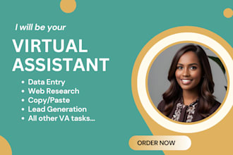 be your administrative virtual assistant for data entry and other vital tasks