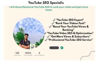 professional youtube SEO to rank videos and boost views