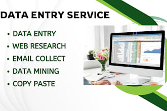 do copy paste, web research, e commerce data entry, email finding for you