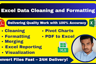 clean, format, merge, and split your excel data in 24 hours