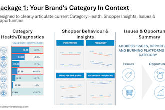 build the end to end category and channel strategy for your fmcg brand
