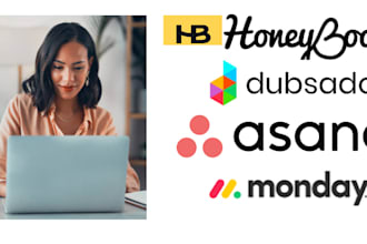 setup and automate honeybook, dubsado, asana