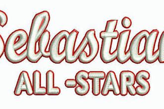 create stunning custom embroidery designs for you