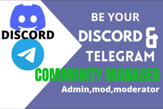 setup professional discord server growth, discord server promotion