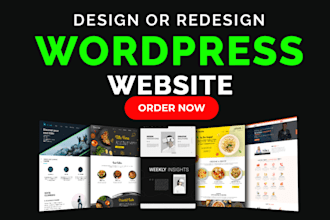 create copy modify customize redesign wordpress website SEO landing page design
