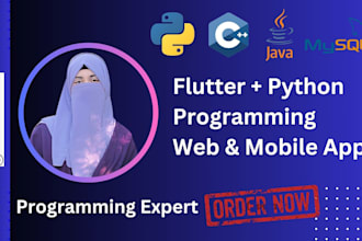 do python assignments, projects and programming related task