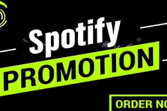 run high converting ads campaign for your spotify music to increase engagement
