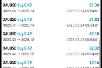 setup a profitable forex trading robot, forex ea bot, gold ea, hft, trading bot