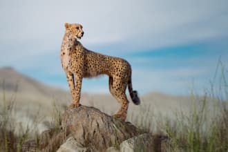sculpt 3d animal model 3d animal creature character modeling 3d printing