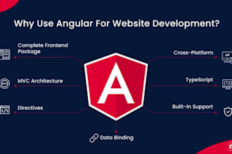 develop angular react website with node js csharp backend