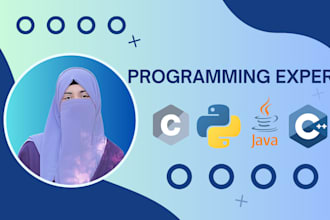 review, do and help with python c programming coding assignments and project