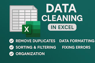 clean, organize, and format your excel data professionally