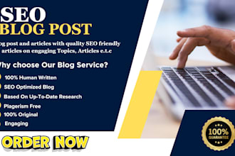 craft engaging SEO wordpress guest blog post article writing promotion website