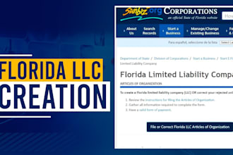 florida llc formation hassle free setup for your business