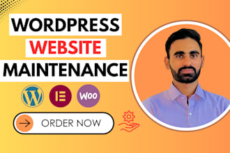 fix wordpress bug, install, maintenance and manage website