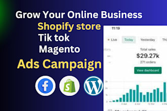 facebook instagram meta ads campaign manager, fb advertising, marketing expert