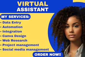 be personal administrative executive virtual assistant social media manager