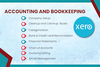 do xero bookkeeping,bank reconciliation,xero clean up