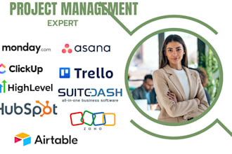 manage and organize your database in airtable, asana, monday, clickup, suitedash