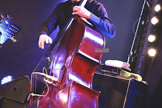 be providing you with professional grooving and takes for your tunes