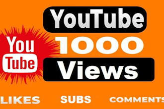 get real 1000 youtube views with organic growth and promotion