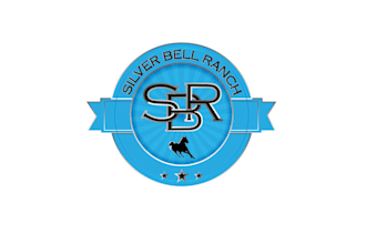 create dressage sports horse ranch signage logo