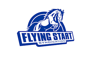 create fast looking smart horse racing logo