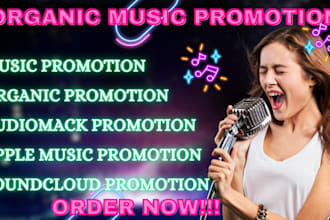 do promotion spotify, audiomack, amazon apple music boost streamer and listeners