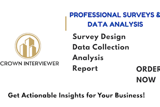 conduct a professional statistical survey and data analysis