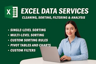 do excel ms excel data cleaning, formatting, analysis, PDF to excel