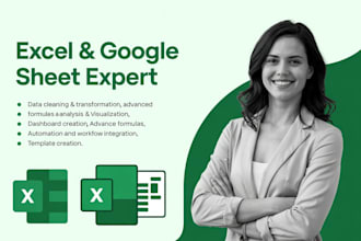 google sheets expert, excel formula, excel macro with custom excel spreadsheet