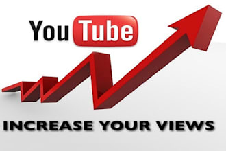 get real 1000 youtube views with organic growth and promotion