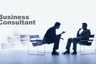 provide expert strategic business advisory services