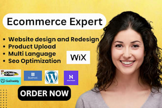 design webshop, ecommerce hostinger, squarespace, wix, shopify, godaddy website