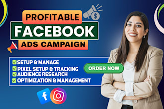 setup and manage facebook ads campaign advertising marketing campaign