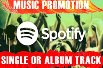 do professional spotify music promotion through ads campaign