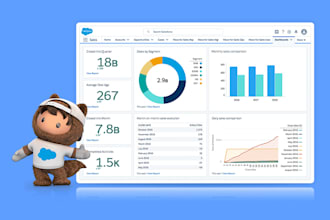 provide salesforce lightning development and support