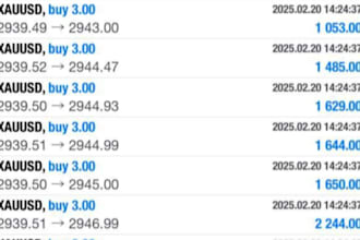 give profitable forex trading bot, forex ea, forex robot, trading bot, gold ea