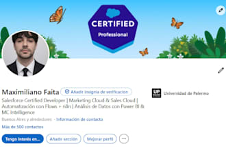 build custom salesforce apex solutions and integrations