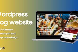 build professional wordpress website design or blog