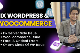 fix wordpress issues, fix errors and bugs, optimize CSS, and provide wp support