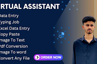 be your virtual asistant for data entry, convert file, excel, copy paste