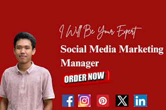 be your expert and professional social media marketer