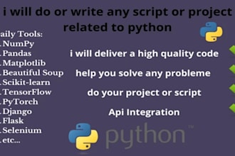 be python java c sql database, bot programming script project, website developer